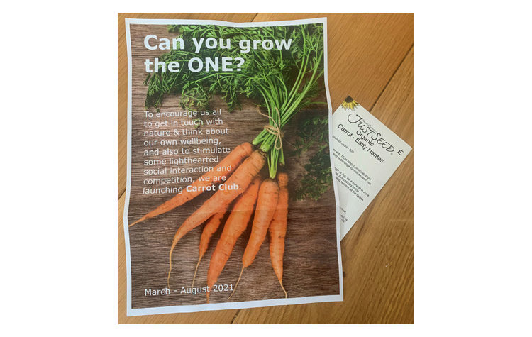 Wellbeing and sustainability - through carrots! Carrot Competition