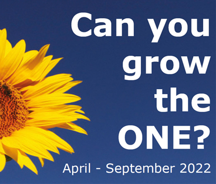 ONE supports Earth Day Sunflowers