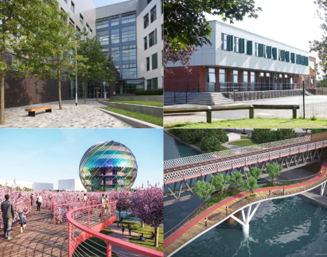 January Project Overview – 50 years
